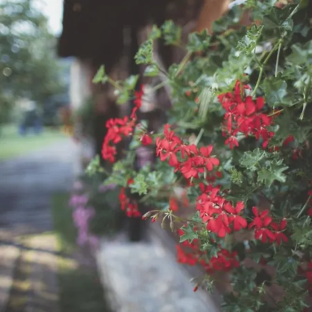 Svarny Pensjonat Rużomberk